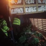 سرگودھا میں مزدا ٹرک الٹ گیا 14 افراد کی جان چلی گئی